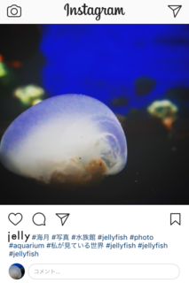 jelly.png