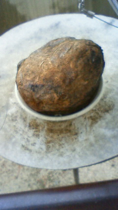 201106031547000.jpg