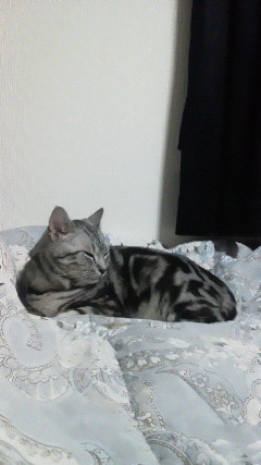 201205050007001.jpg